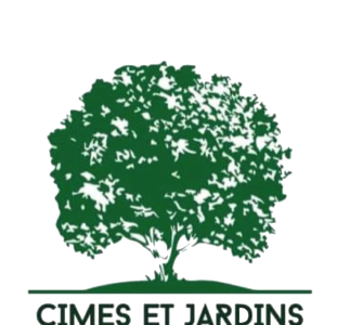 Cimes <a class=